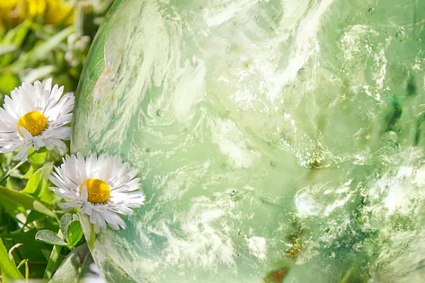 field of daisy with globe image imposed on top