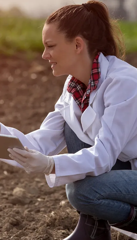 agronomist analyzing soil sample on farm